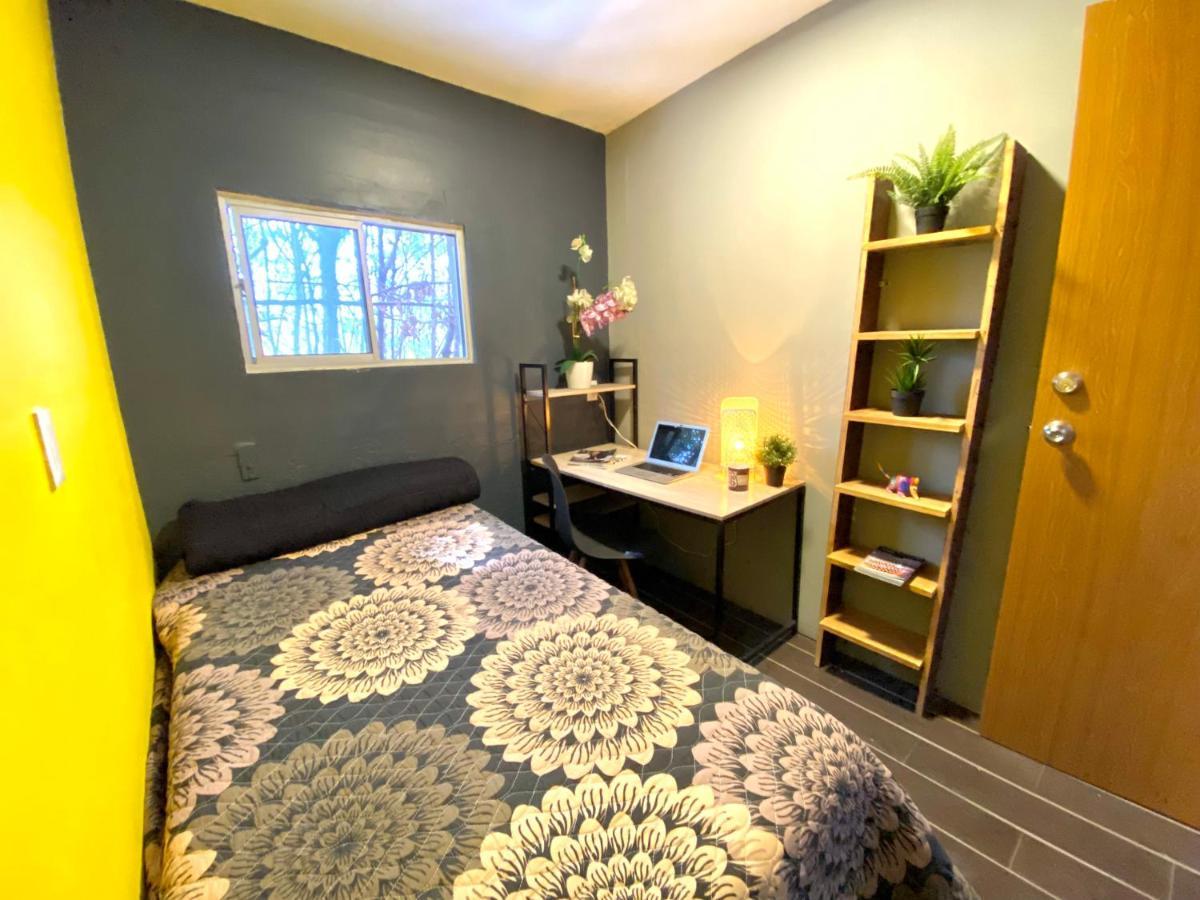 Roomies Hostel - Santa Maria La Ribera 墨西哥城 外观 照片