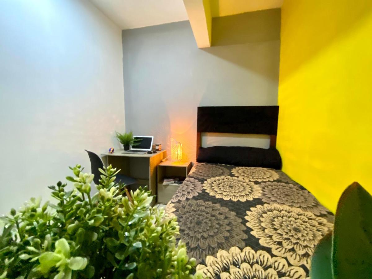 Roomies Hostel - Santa Maria La Ribera 墨西哥城 外观 照片