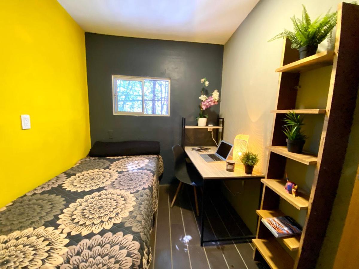 Roomies Hostel - Santa Maria La Ribera 墨西哥城 外观 照片